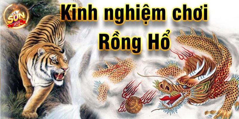 Đừng bỏ qua kinh nghiệm vàng khi chơi Rồng Hổ