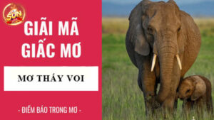 mơ thấy voi